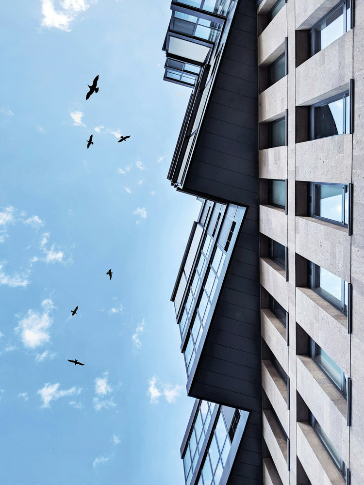 Houston's Flat Rents Hide a Busier Market